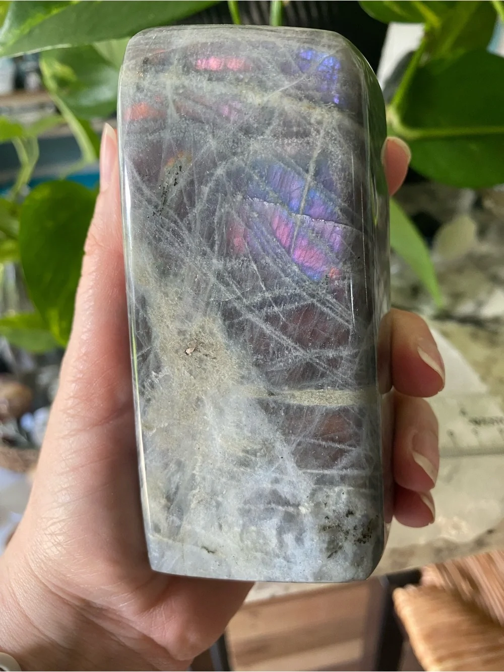 ✨ Double Flash Labradorite Freeform – 4.5 Inches ✨
